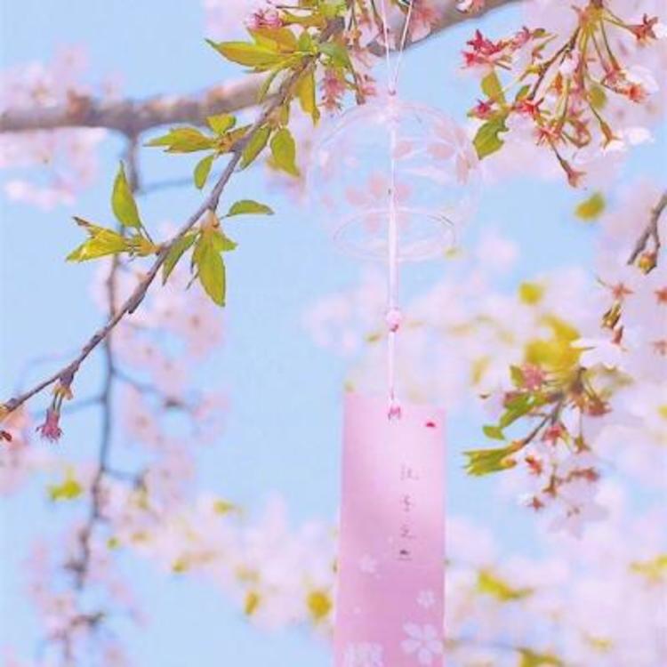 四乃森苍紫（身份：御庭番众前任首领、“天才忍者”） - gv网钙片在线观看16 - 小程序观影